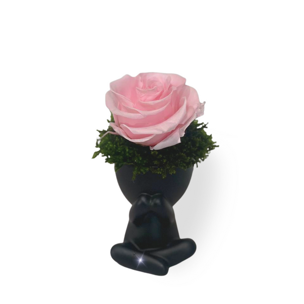 Figure  Rose