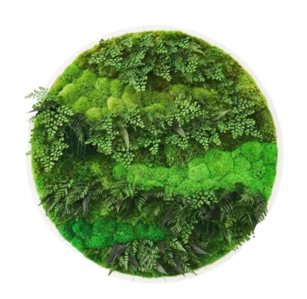 Moss Wood Wall Art