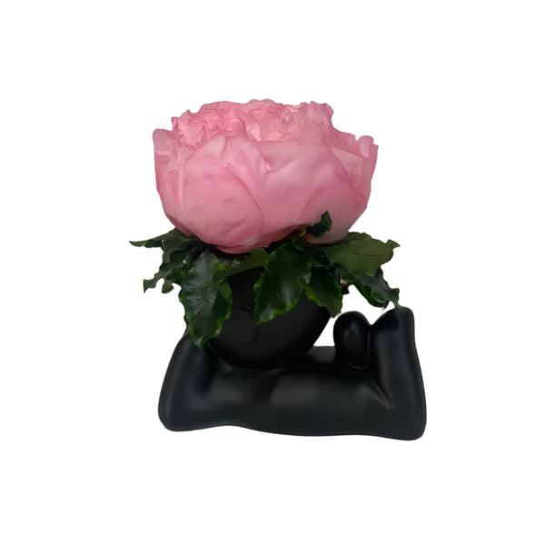 Figure  Peony