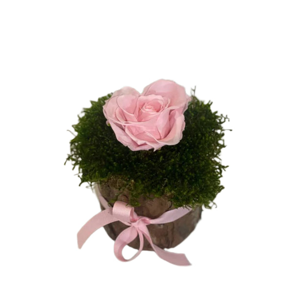 Forest Rose